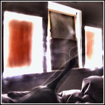 nocturn2