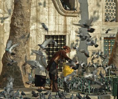 Feeding pigeons at Eyup Mosque