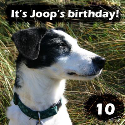 Joop's Dog Log - Thursday August 19