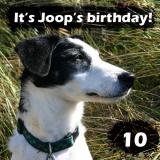 Joops Dog Log - Thursday August 19