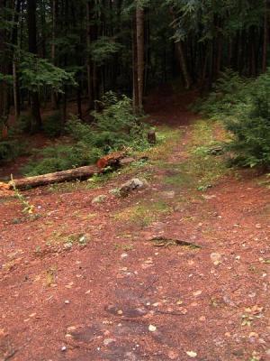 Trail...