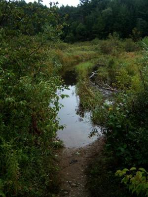 Pharoh Lake Wilderness Area pics from 02-03