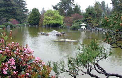 Pond