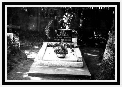Anna Babiak Szaryj's Grave