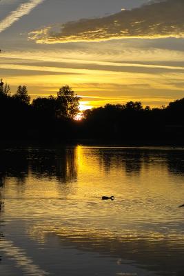 u8/ianvermeer/medium/32927588.IMG08991.jpg