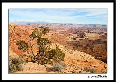 Canyonlands @ Mesa Arch 4502