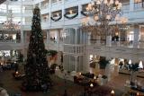 The Grand Floridian