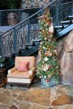 Animal Kingdom Lodge