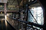 Animal Kingdom Lodge