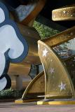 IMG_7513_20041211-800.jpg