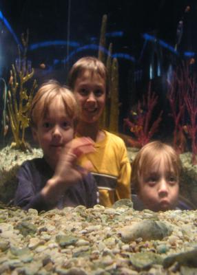 Boys at the TN Aquarium
