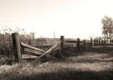 fence1res.jpg