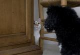 Can I come out?