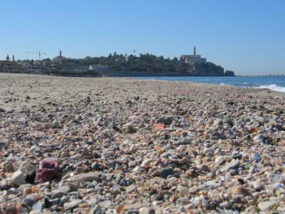 u8/james_darwin/medium/37397764.IMG_2576_1_1.jpg