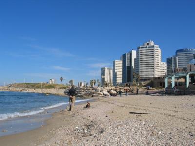 u8/james_darwin/medium/37397765.IMG_2577_11_1.jpg