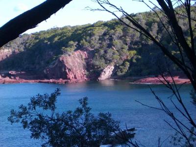 GreenCapeNationalpark 009.jpg