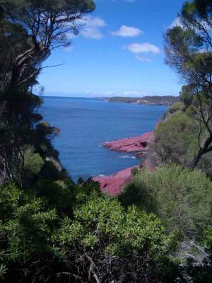 GreenCape_2004-10-10 024.jpg