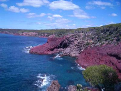 u8/jan_herbert/medium/37553901.GreenCape_20041010030.jpg