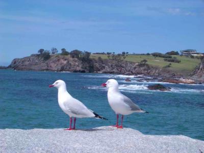 Narooma New South Wales (2004 holiday)