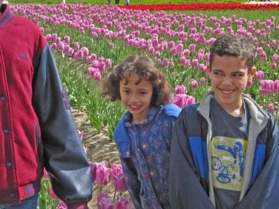 04tulips0006.jpg
