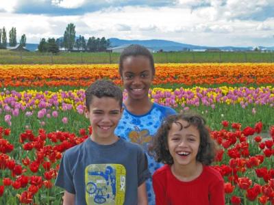 04tulips0012.jpg