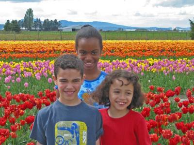 04tulips0013.jpg