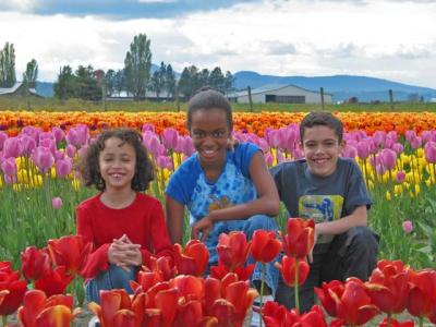 04tulips0014.jpg