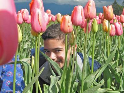 04tulips0043.jpg