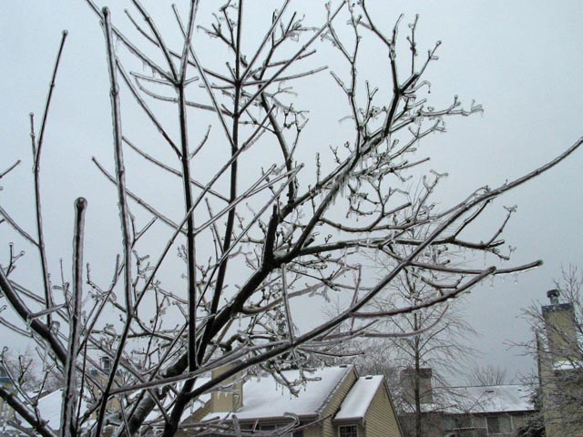 ice