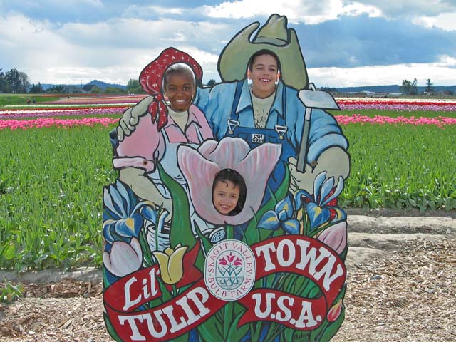 04tulips0051.jpg