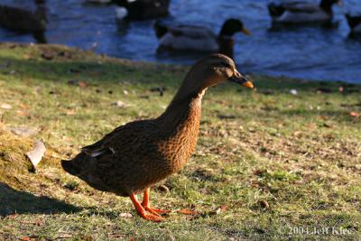IMG_4653.jpg