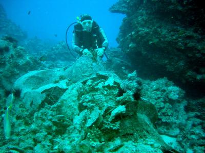 Underwater Moai