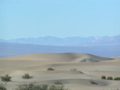 BTmojave204.jpg