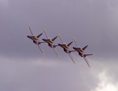 u8/jim_mckinlock/medium/32814993.CRW_5387a2.jpg