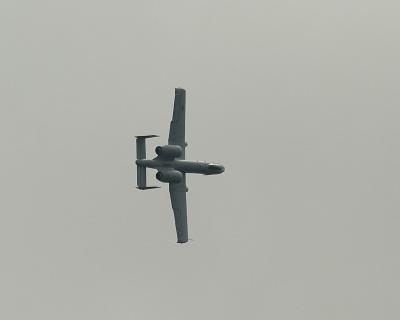 u8/jim_mckinlock/medium/32840811.CRW_5349.jpg