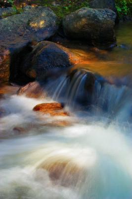CRW_8851.jpg