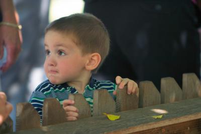 CRW_0390.jpg