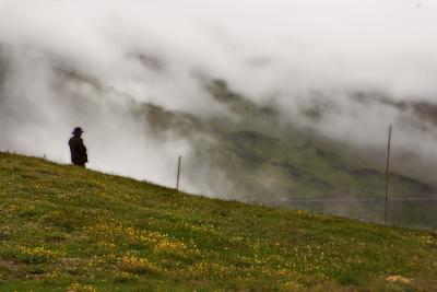 CRW_8956.jpg