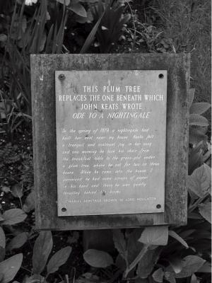 Keats House, Plum Tree Plaque - March 19, 2002