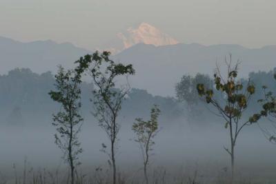 Morning mist with mountain on the backdrop