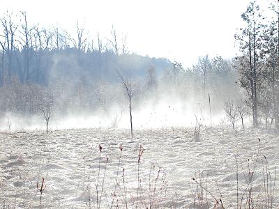 Cold and frosty morning (Olympus C-2100)