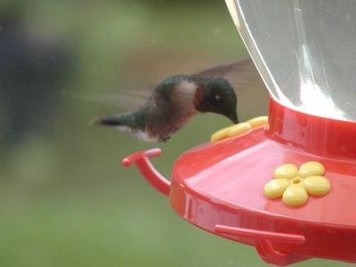 hummer2