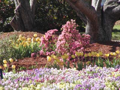 Third Street Park, Macon, GA