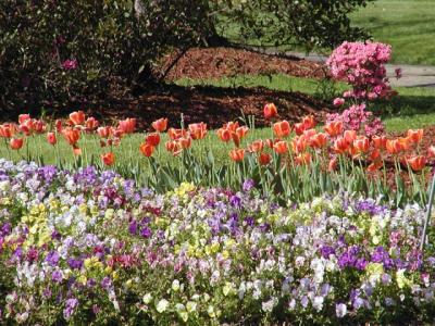 Third Street Park, Macon, GA