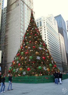 12.15 - Christmas Tree