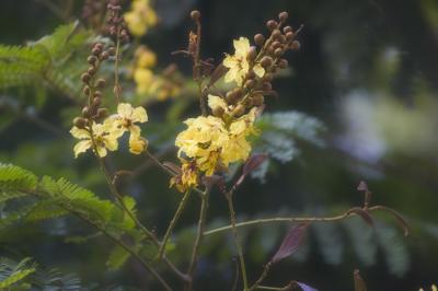 August 22 - out my window