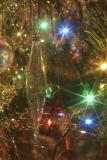 041212_tree023encomp.tif