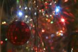 041212_tree019encomp.tif