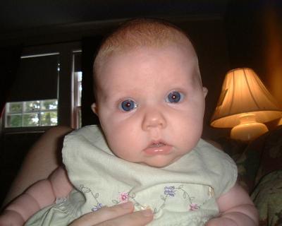 ellie_face2.jpg