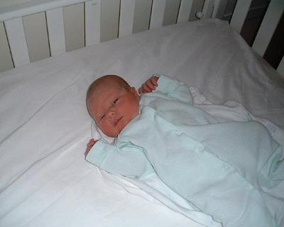 apr13_ellie4.jpg